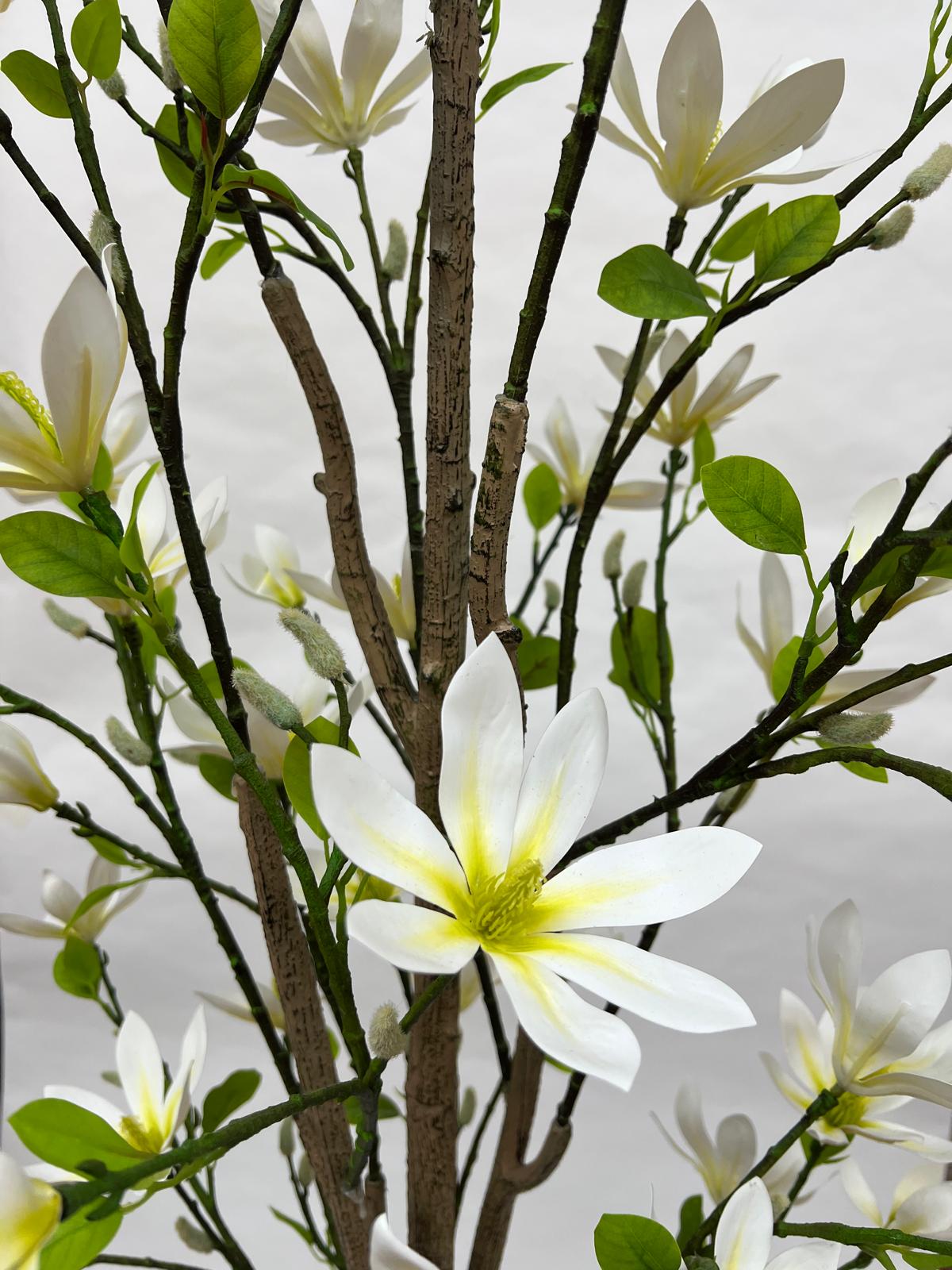 Pomi Artificiali (Magnolie)