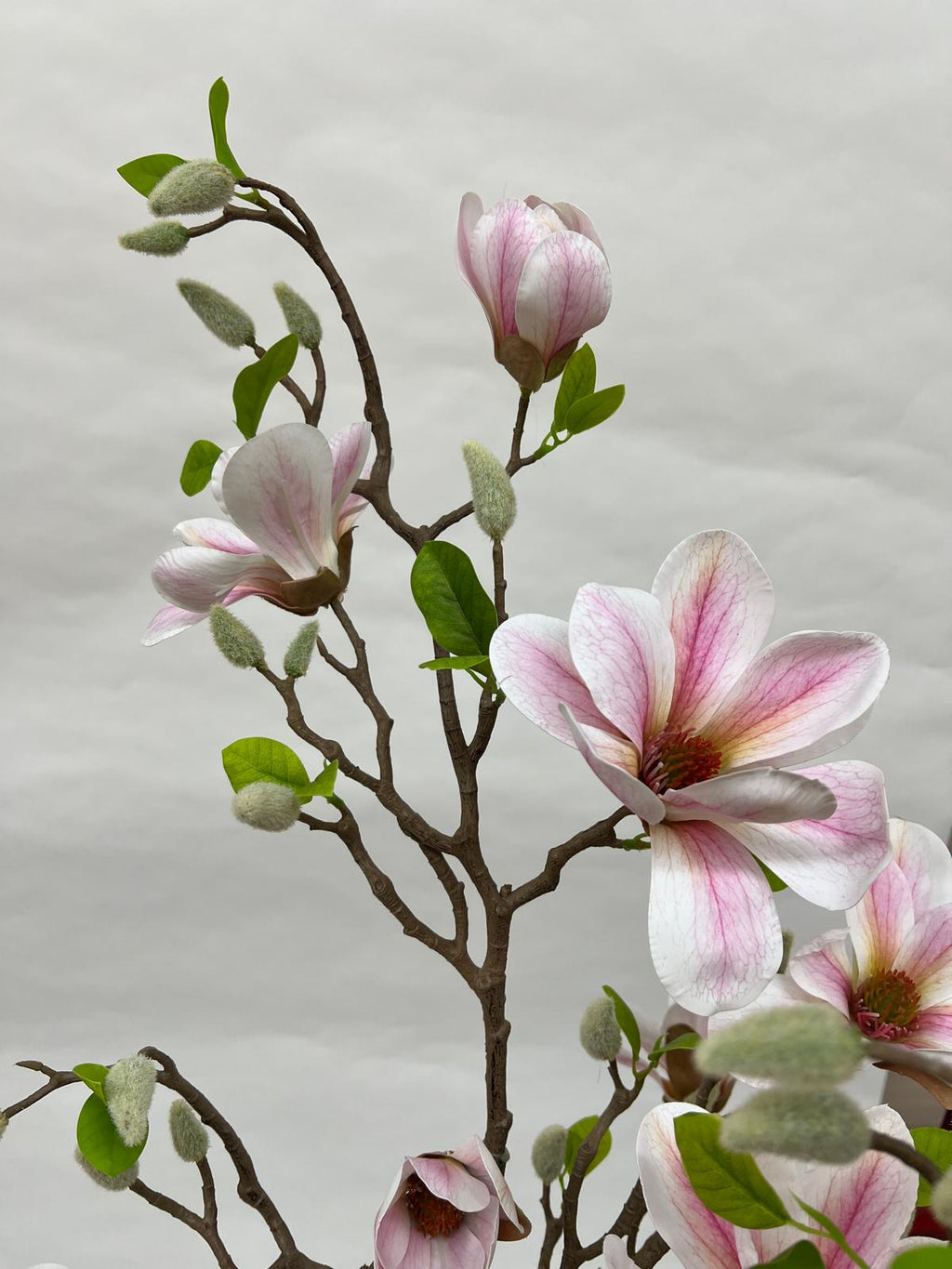 Pomi Artificiali (Magnolie)