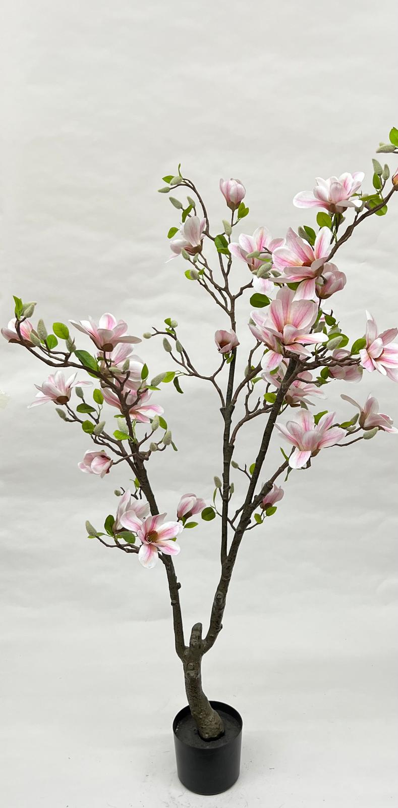 Pomi Artificiali (Magnolie)