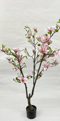 Pomi Artificiali (Magnolie)