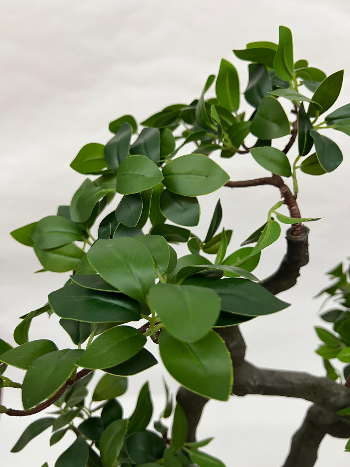Pomi Atificiali (Bonsai)