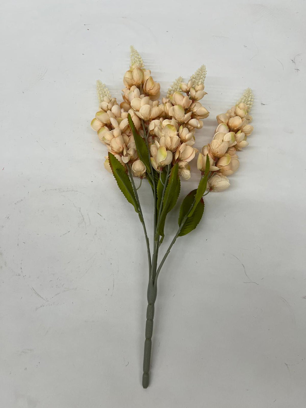 Motul Curcanului Buchet