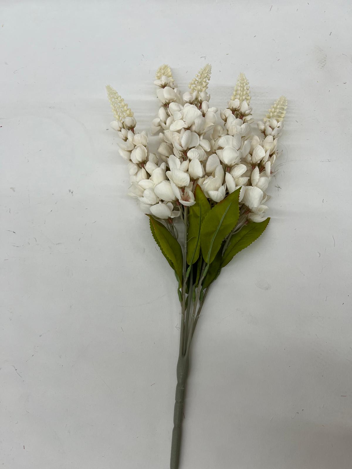 Motul Curcanului Buchet