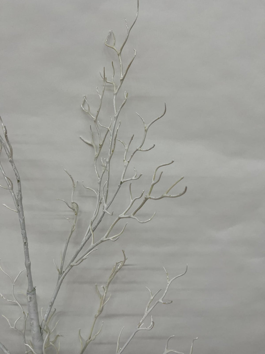 Ramura Decoraticva Alba