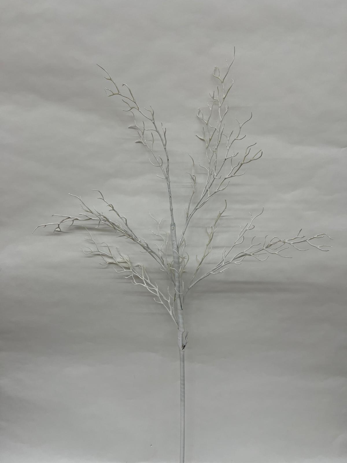 Ramura Decoraticva Alba