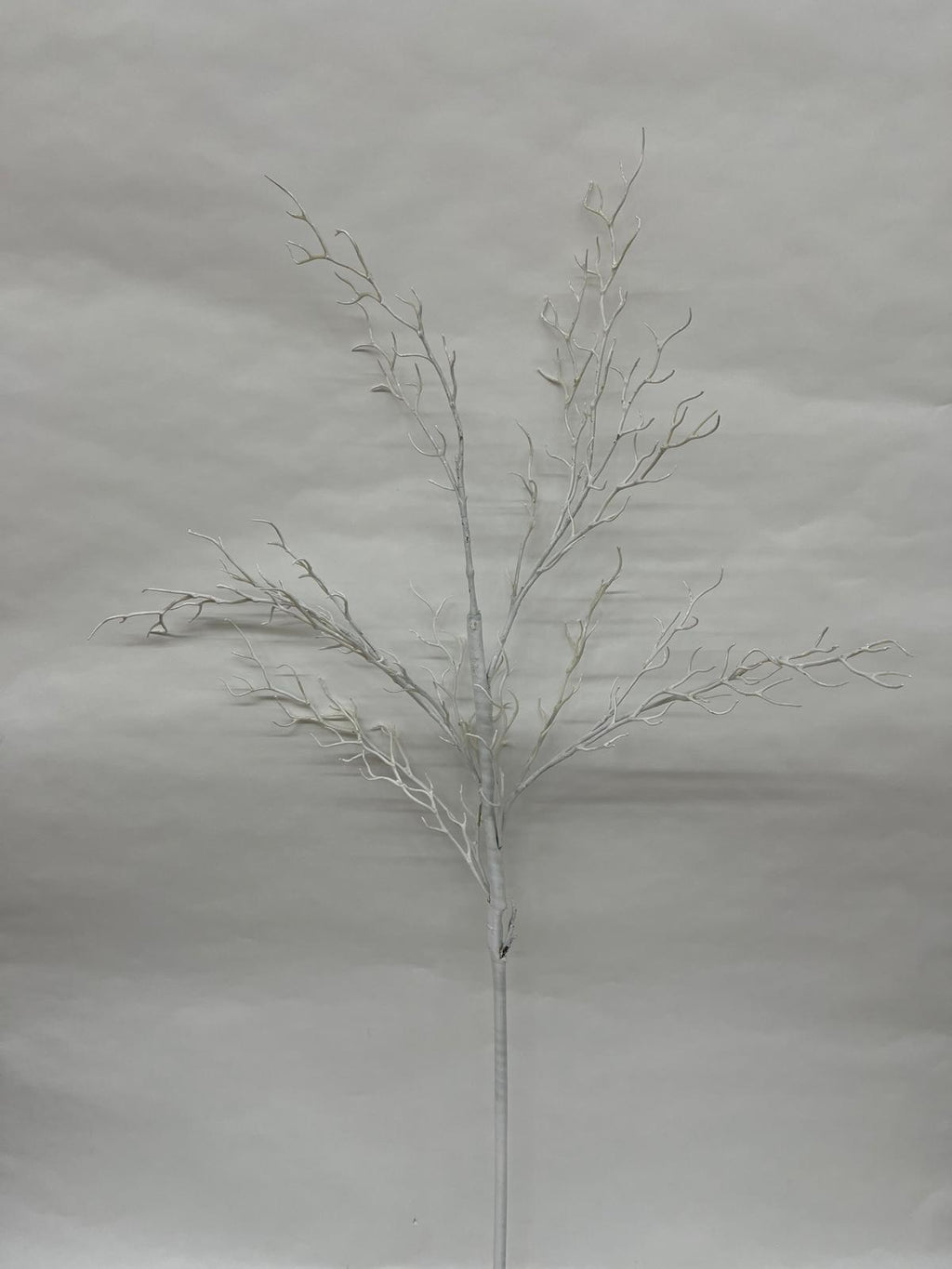 Ramura Decoraticva Alba