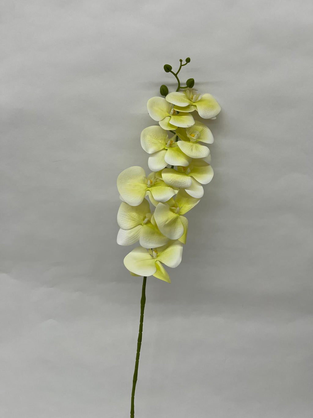 Orhidee Artificiala