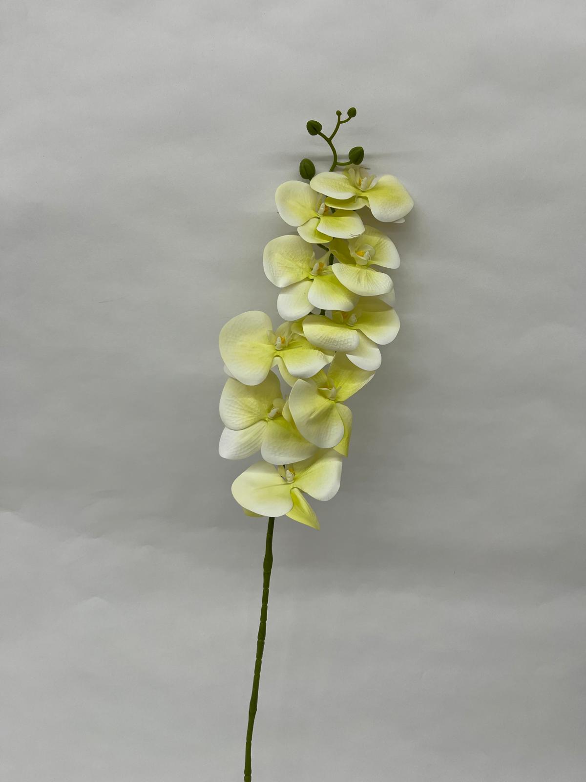 Orhidee Artificiala