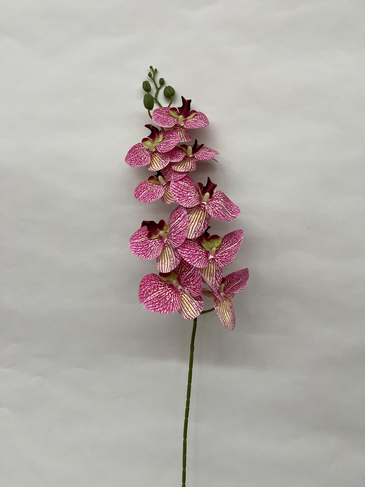 Orhidee Artificiala
