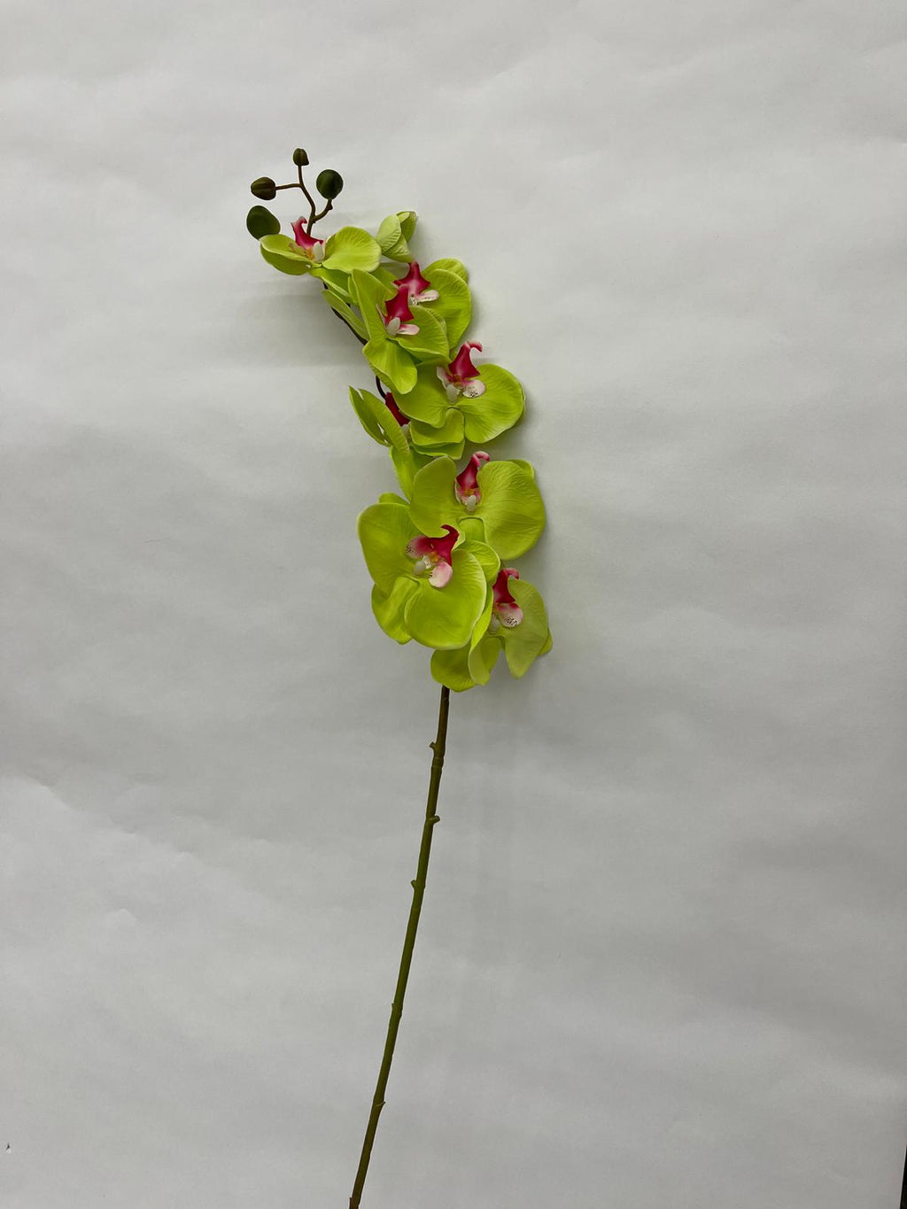 Orhidee Artificiala