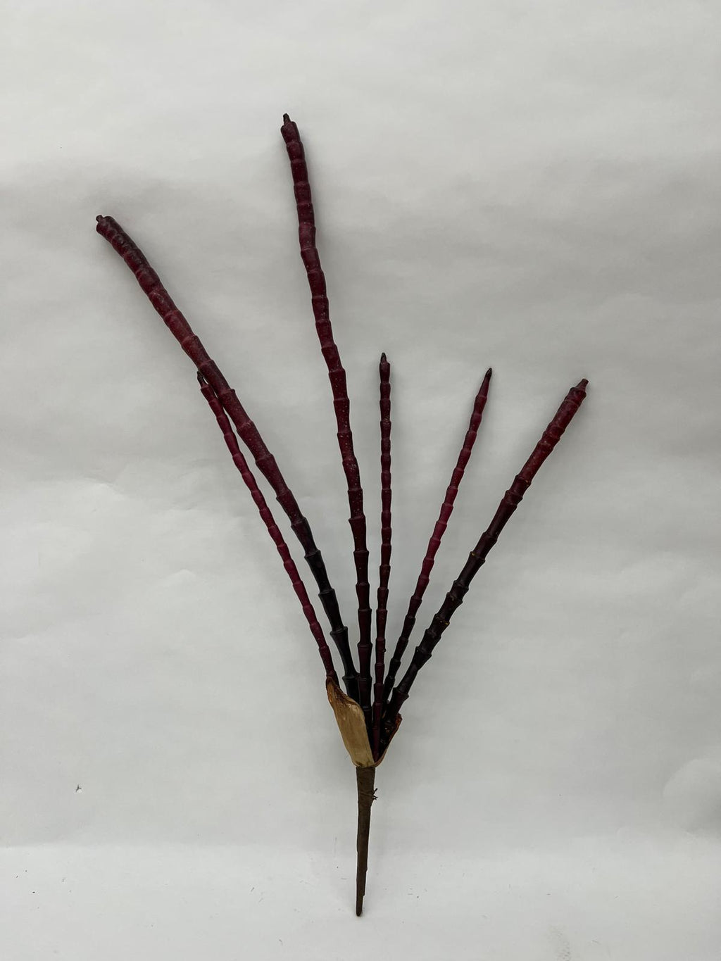 Plante Exotice Artificiale (Degetele)