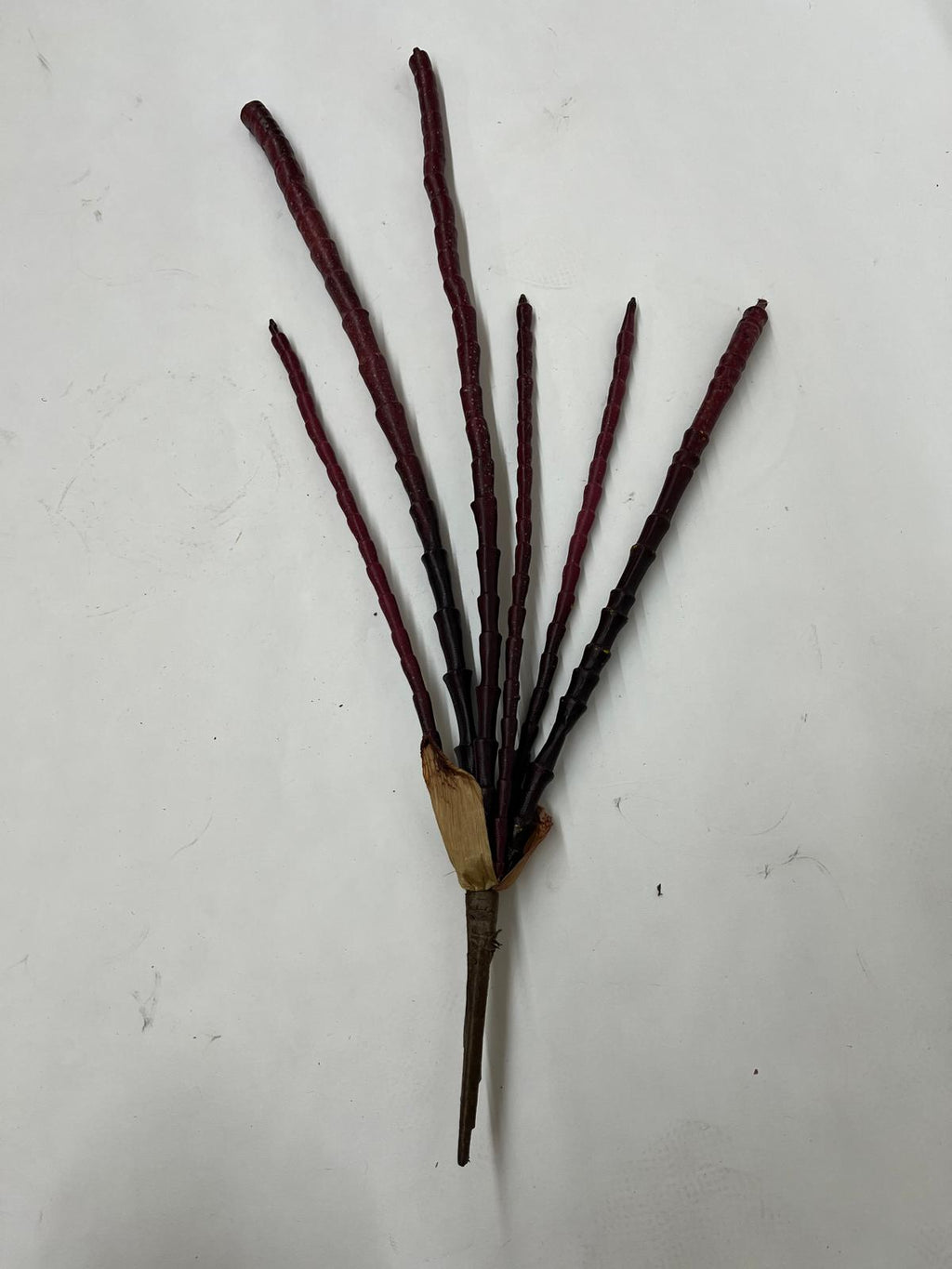 Plante Exotice Artificiale (Degetele)