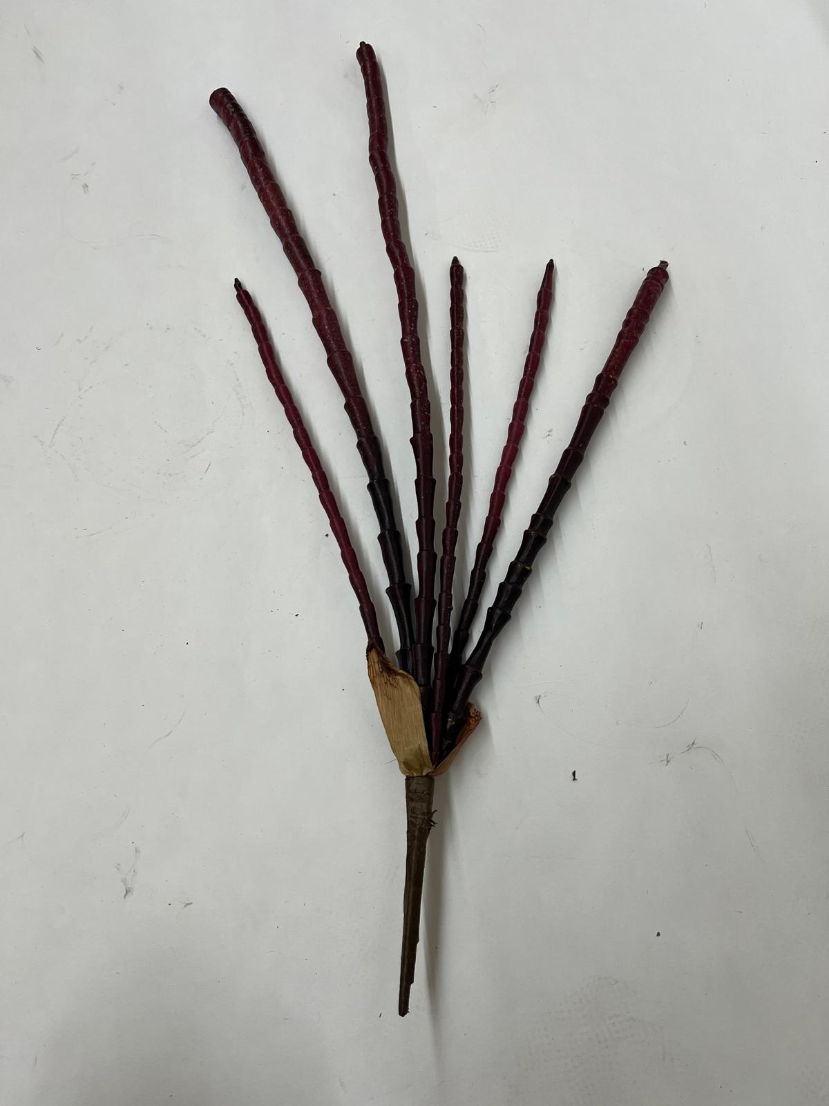Plante Exotice Artificiale (Degetele)