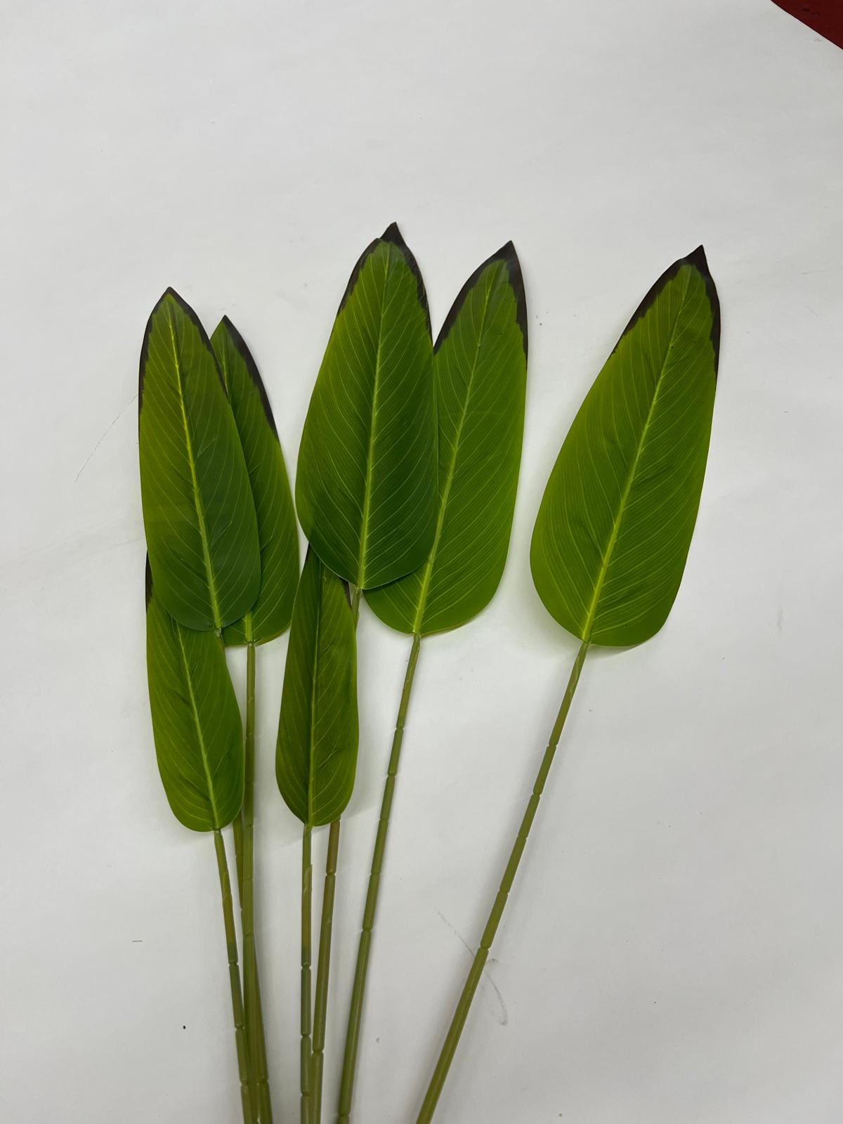 Frunze Artificiale Stelitzia