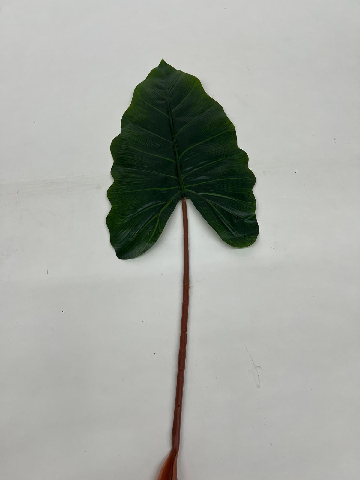 Frunze Arificiale Alocasia