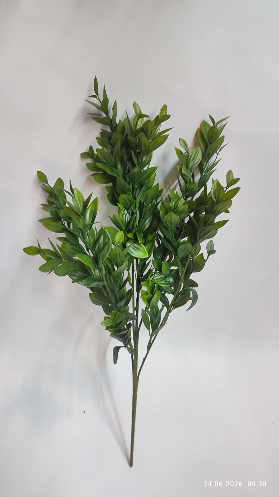 Buchet Verdeata Decorativa