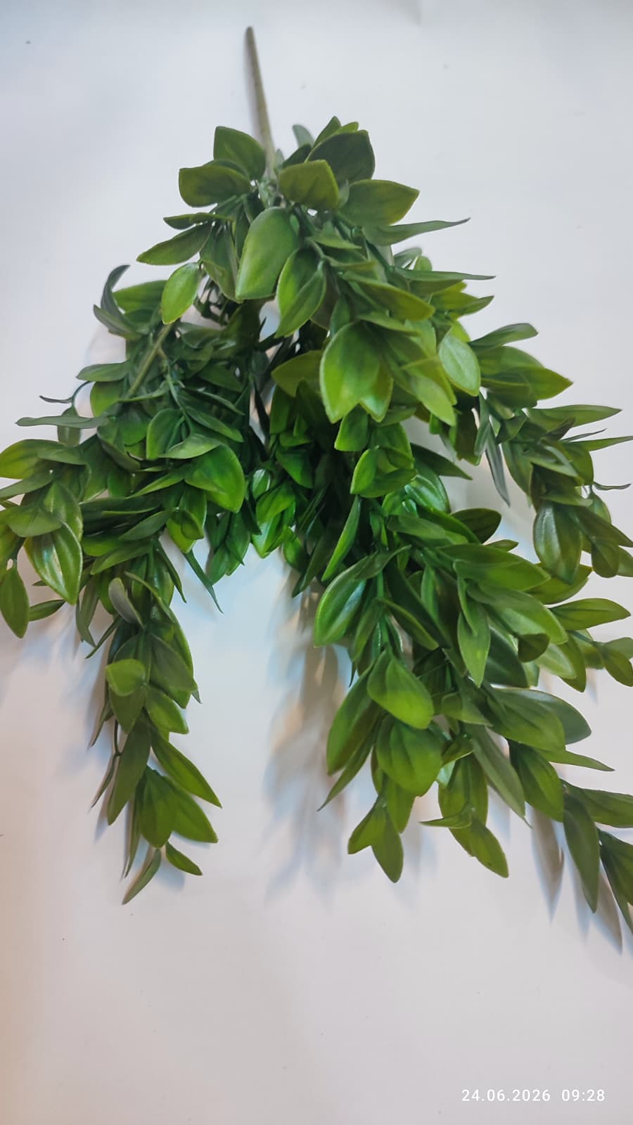 Buchet Verdeata Decorativa