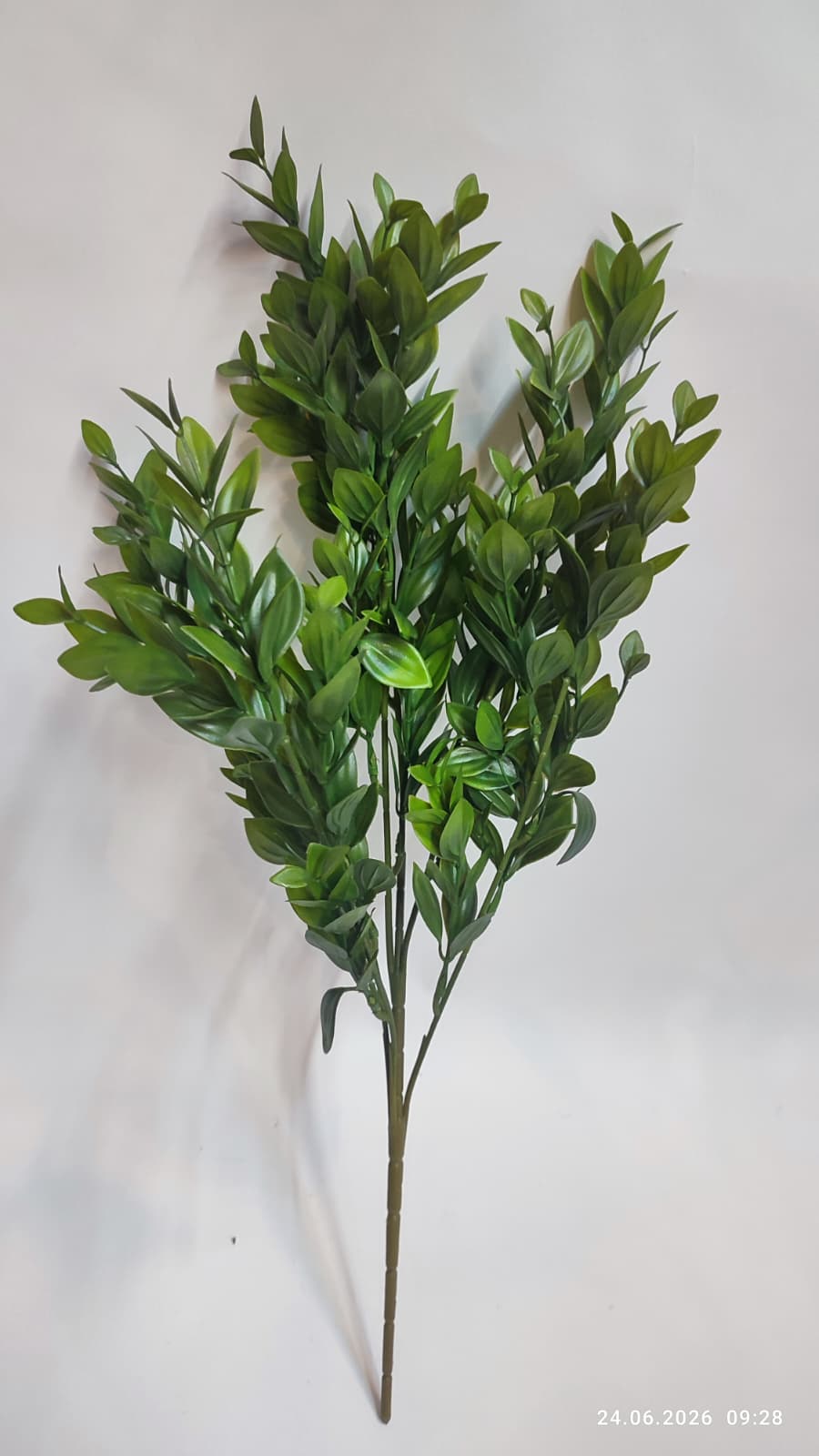 Buchet Verdeata Decorativa