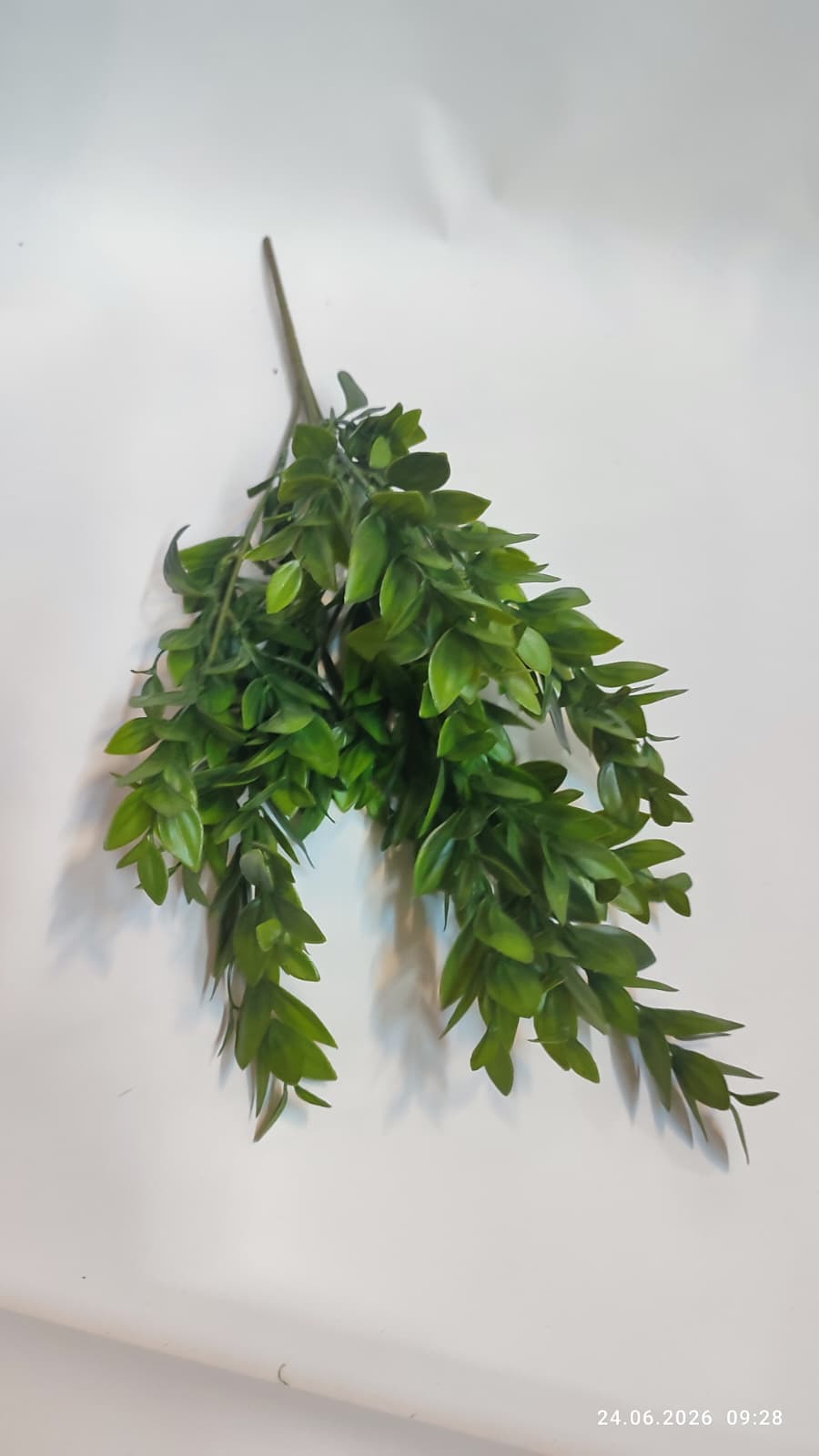 Buchet Verdeata Decorativa