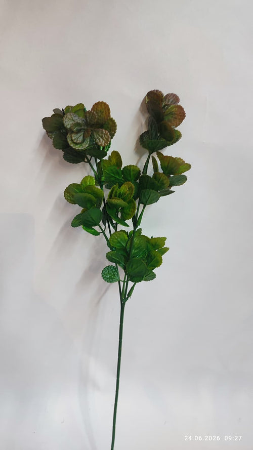 Crenguta Decorativa Verdeata