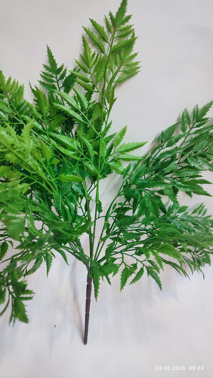 Buchet Verdeata Decorativa