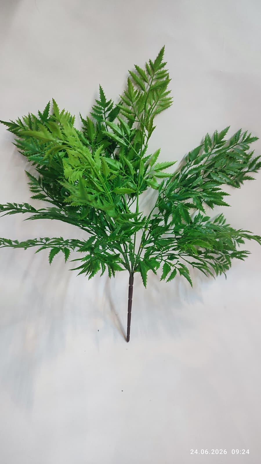 Buchet Verdeata Decorativa