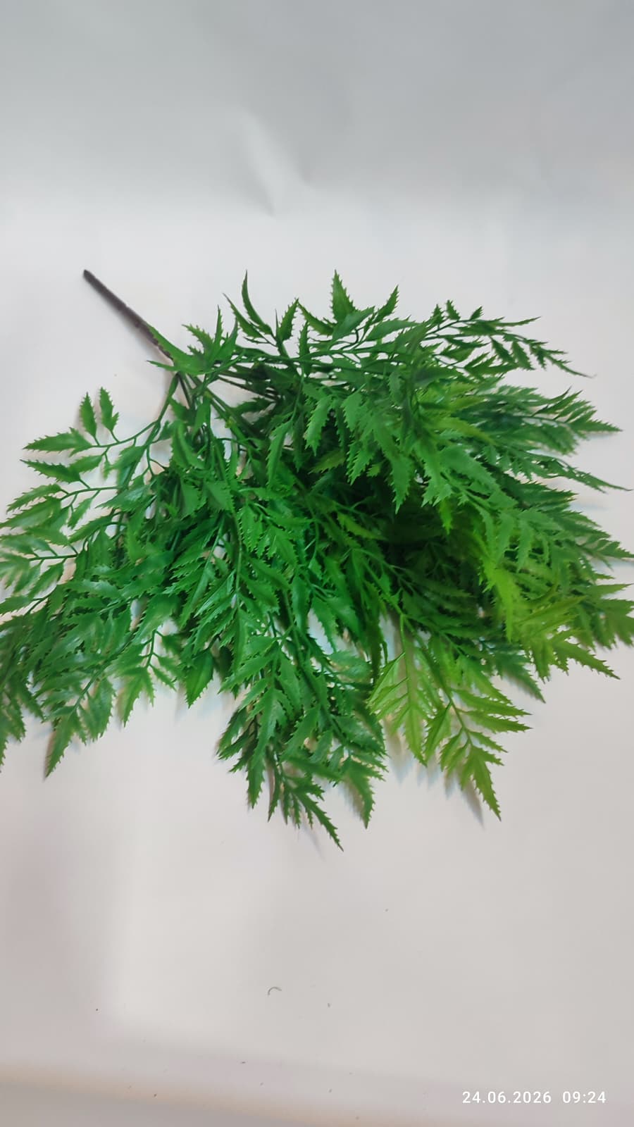 Buchet Verdeata Decorativa