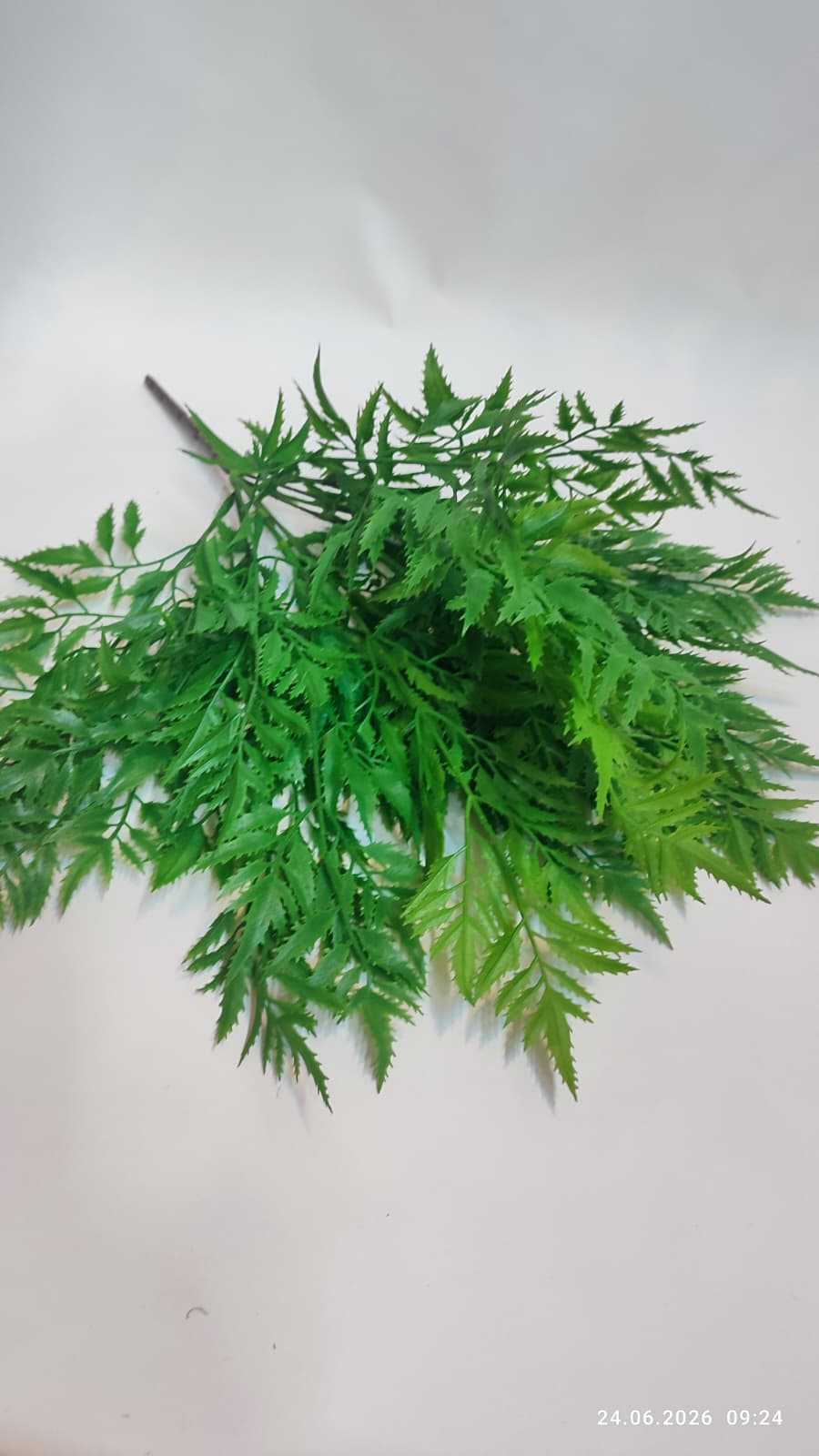 Buchet Verdeata Decorativa