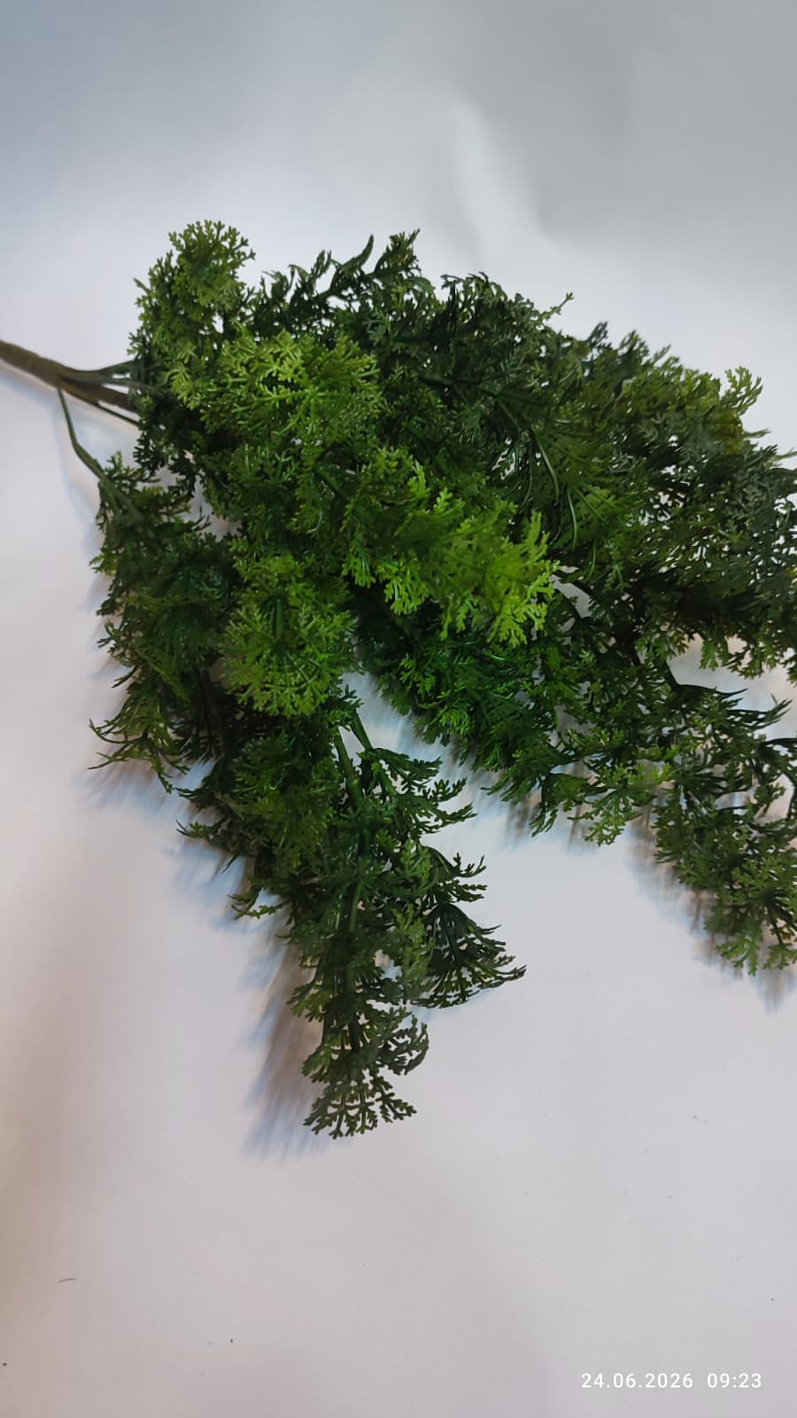 Buchet Verdeata Decorativa