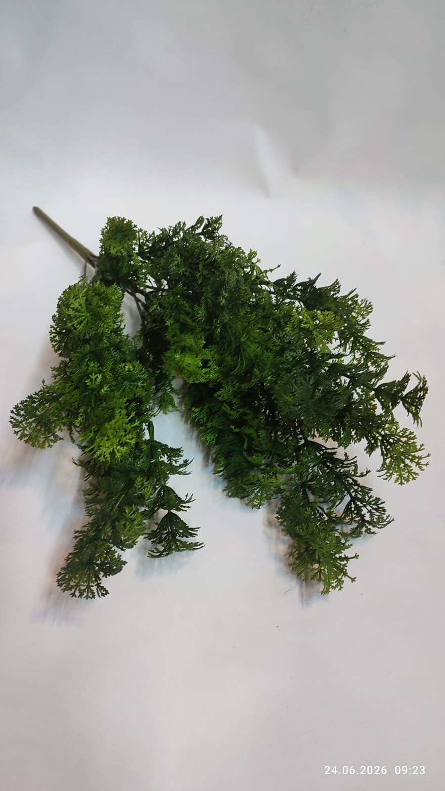 Buchet Verdeata Decorativa