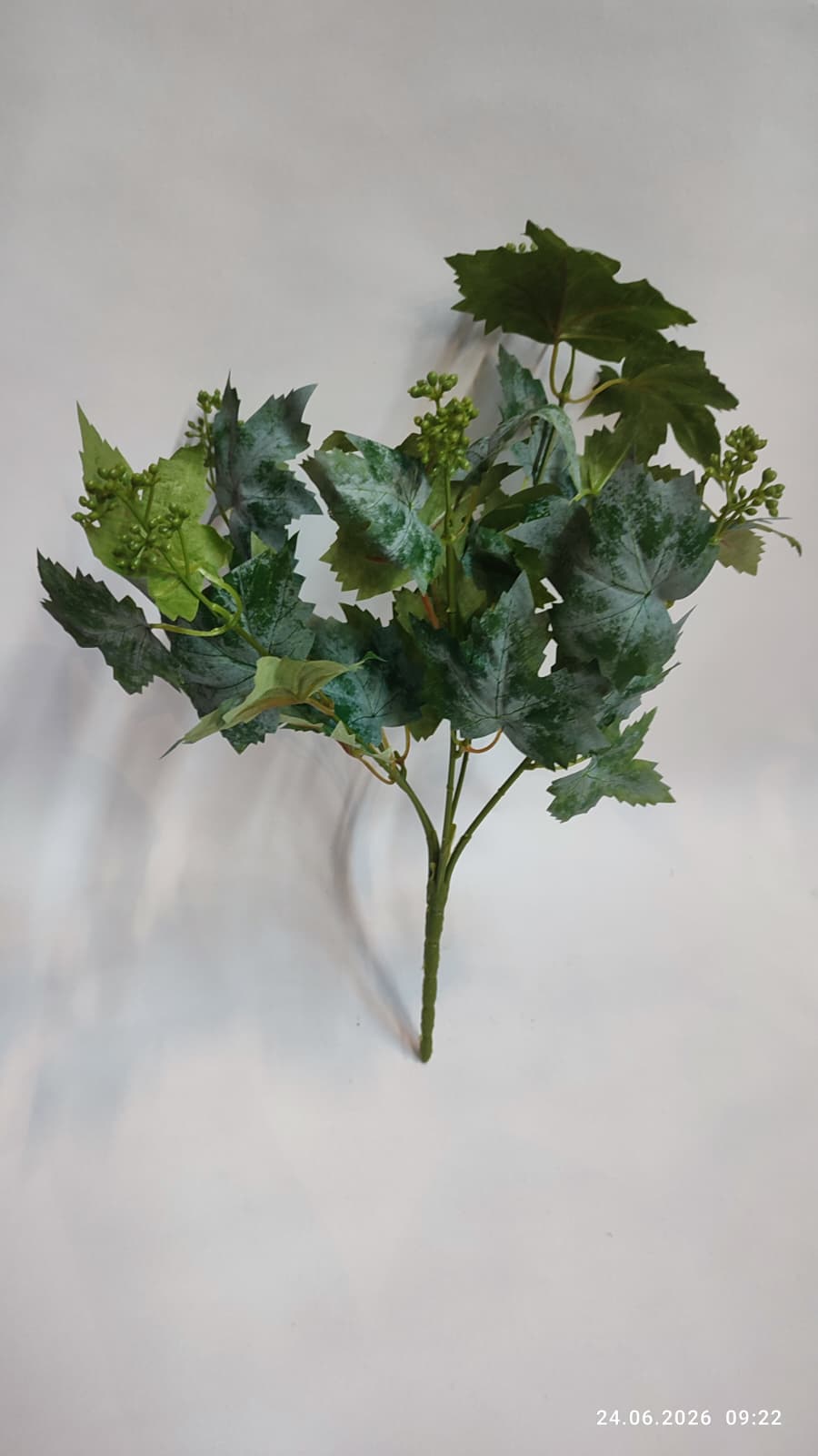 Buchet Verdeata Decorativa