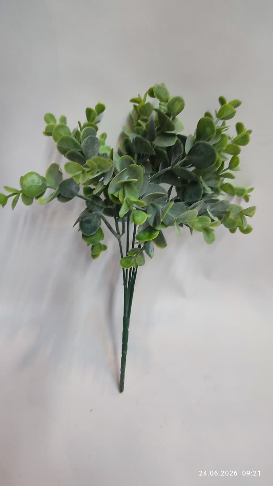 Buchet Eucalipt