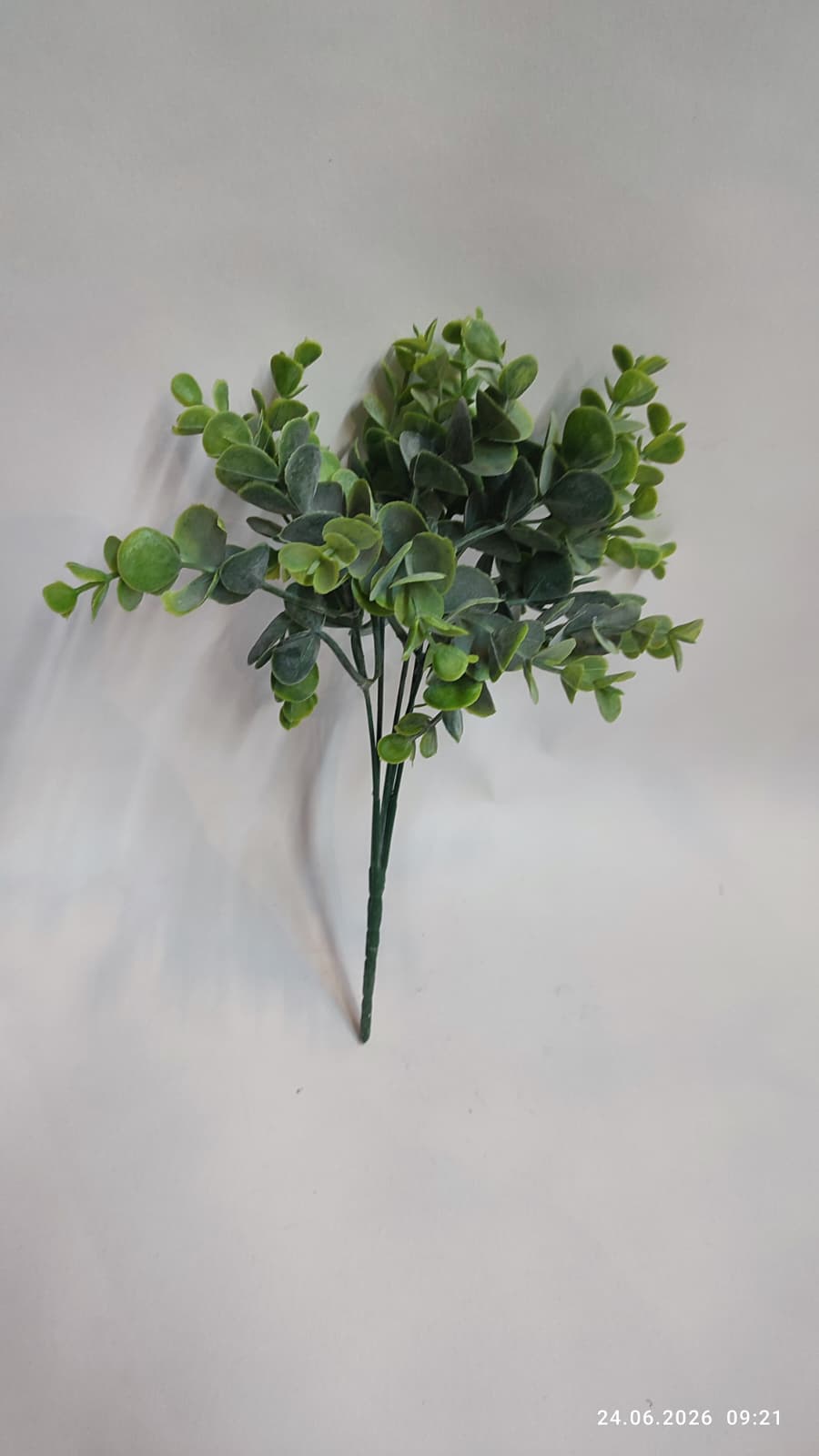 Buchet Eucalipt