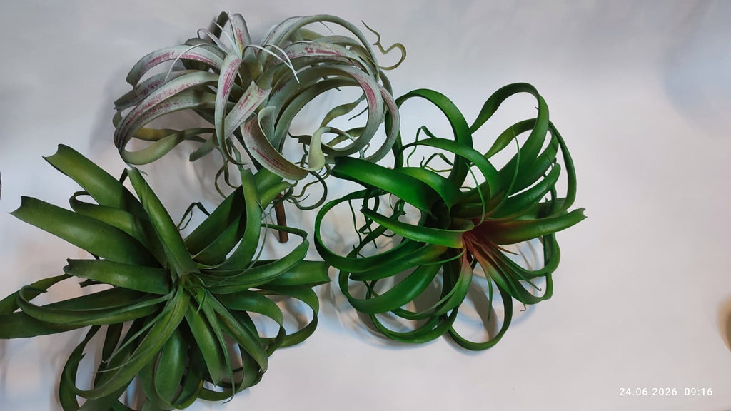 Suculente Decorative Artificiale