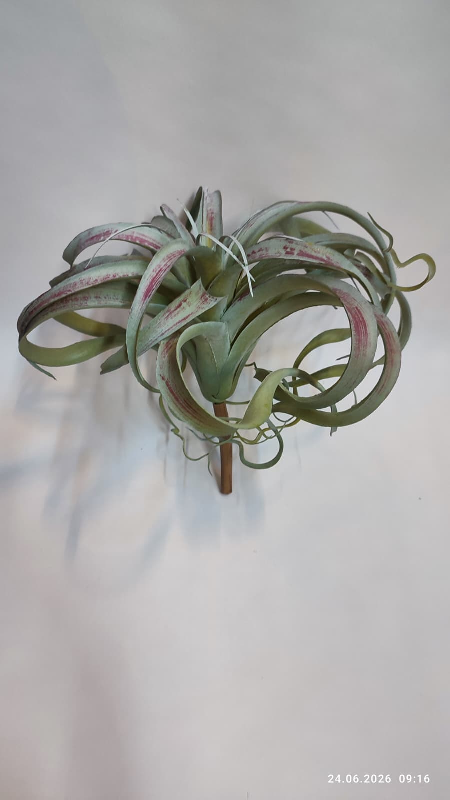 Suculente Decorative Artificiale