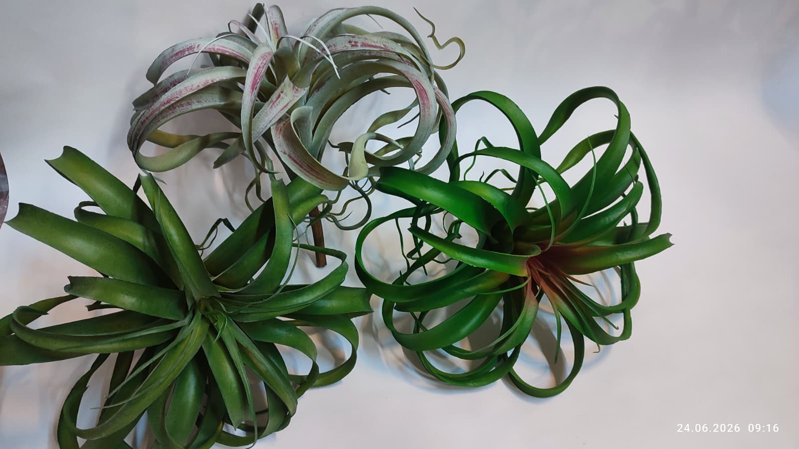 Suculente Decorative Artificiale
