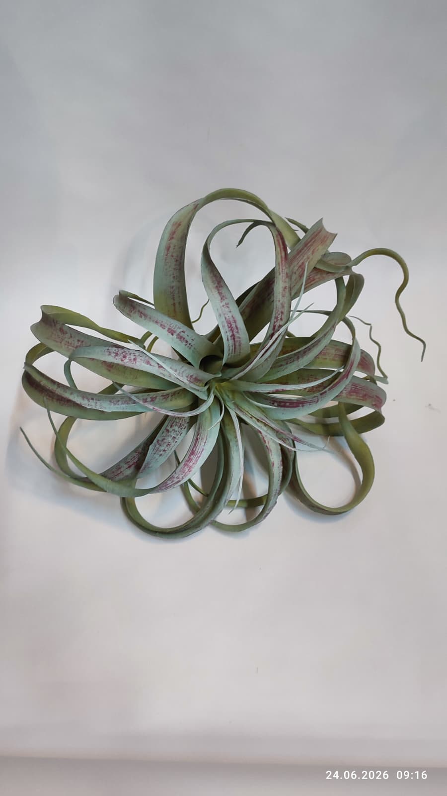 Suculente Decorative Artificiale