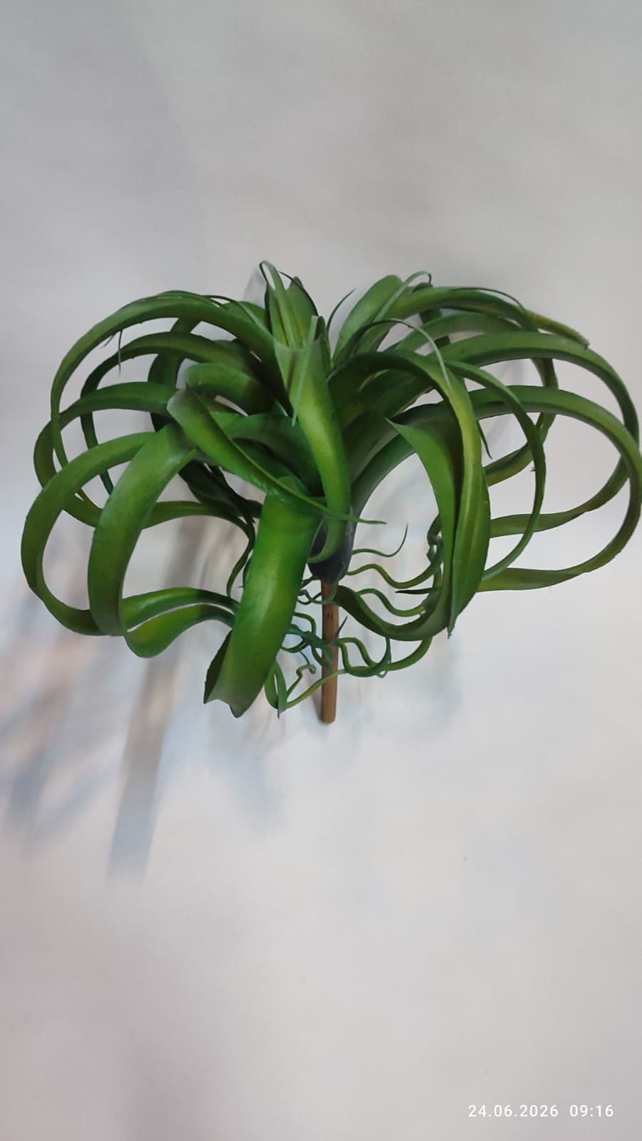 Suculente Decorative Artificiale
