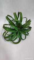 Suculente Decorative Artificiale