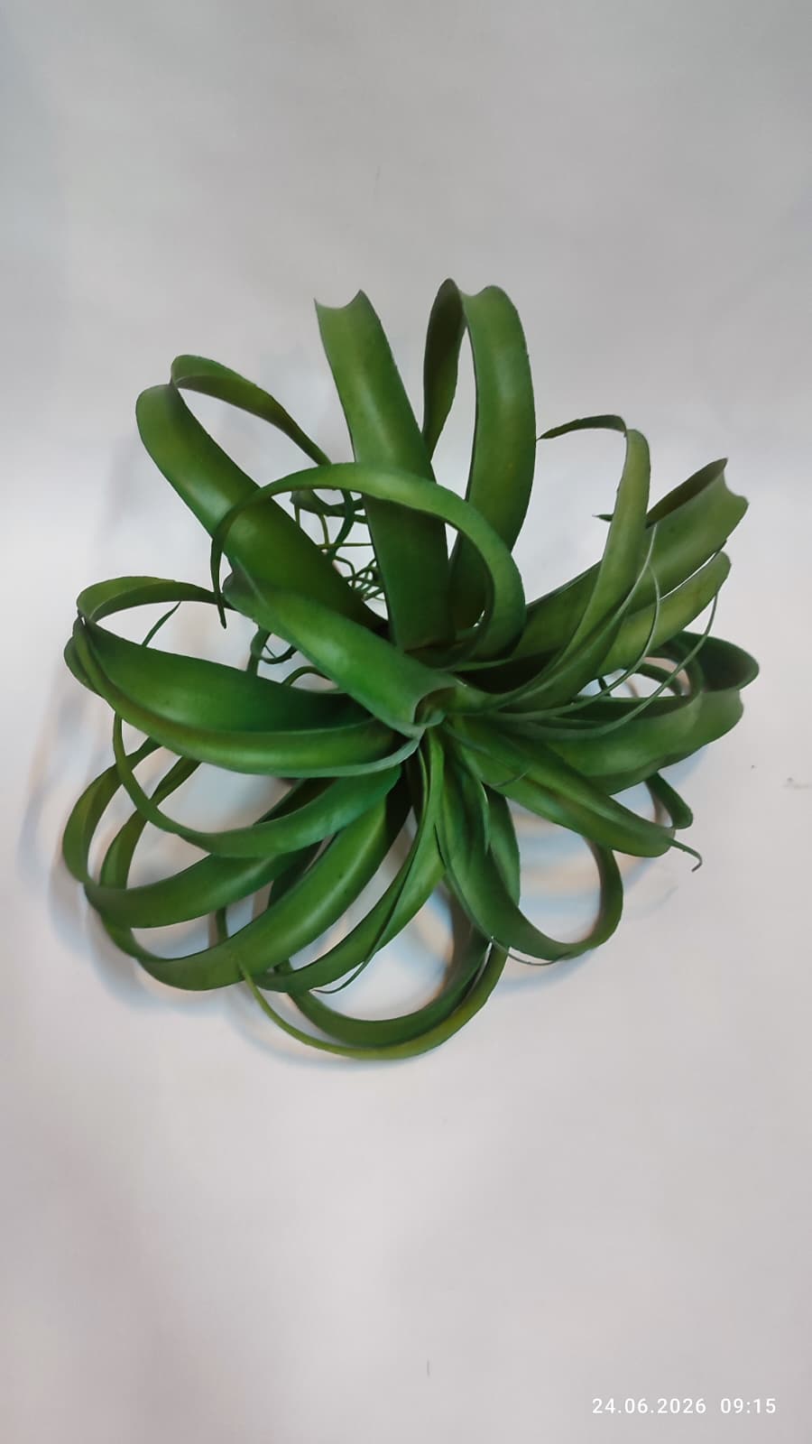 Suculente Decorative Artificiale