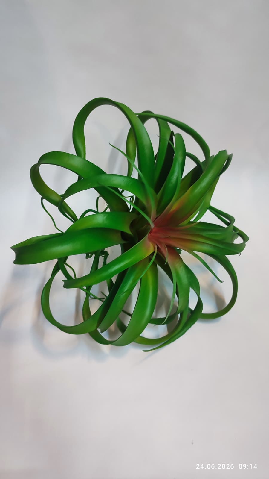 Suculente Decorative Artificiale