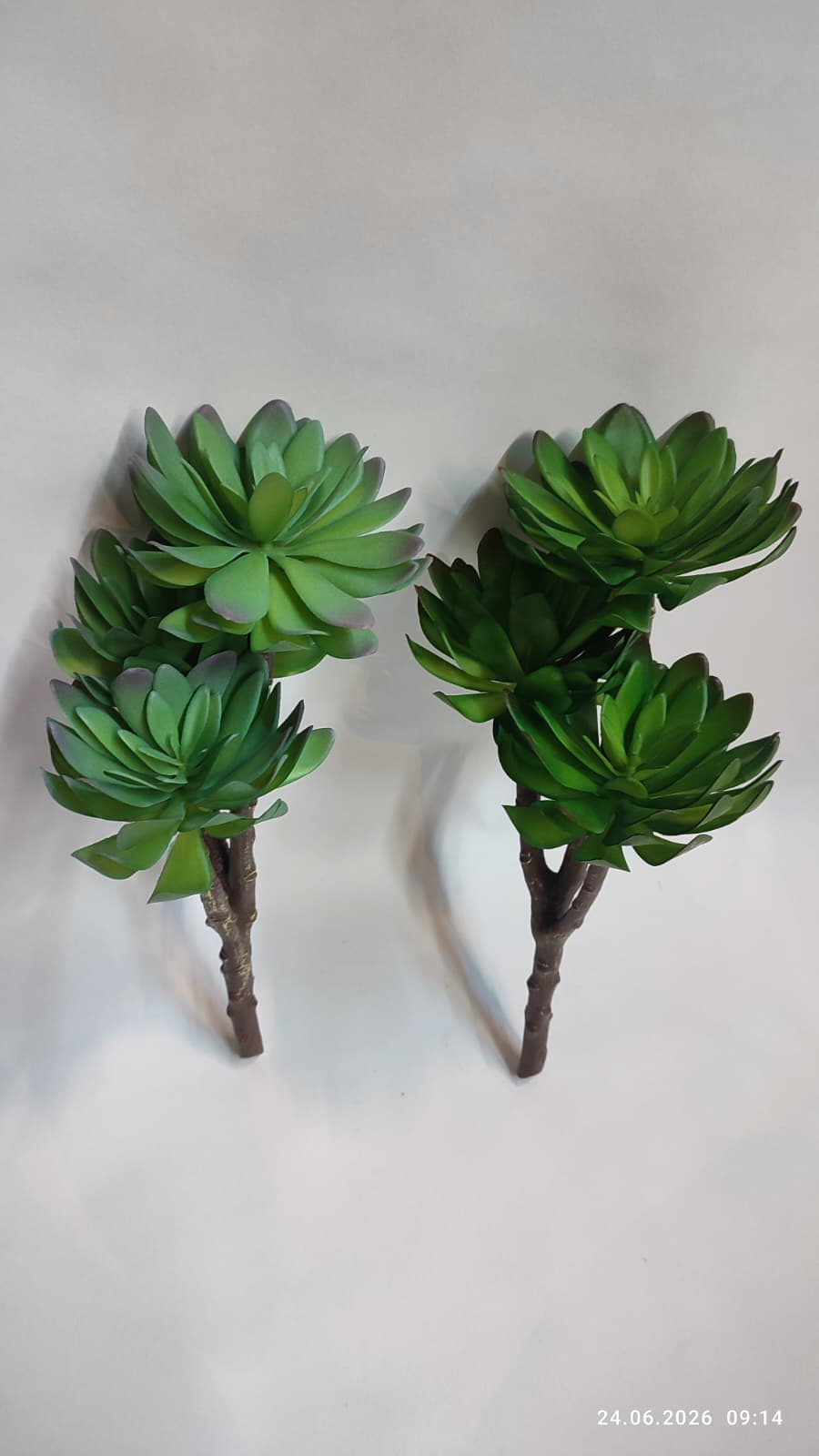 Suculente Decorative Artificiale