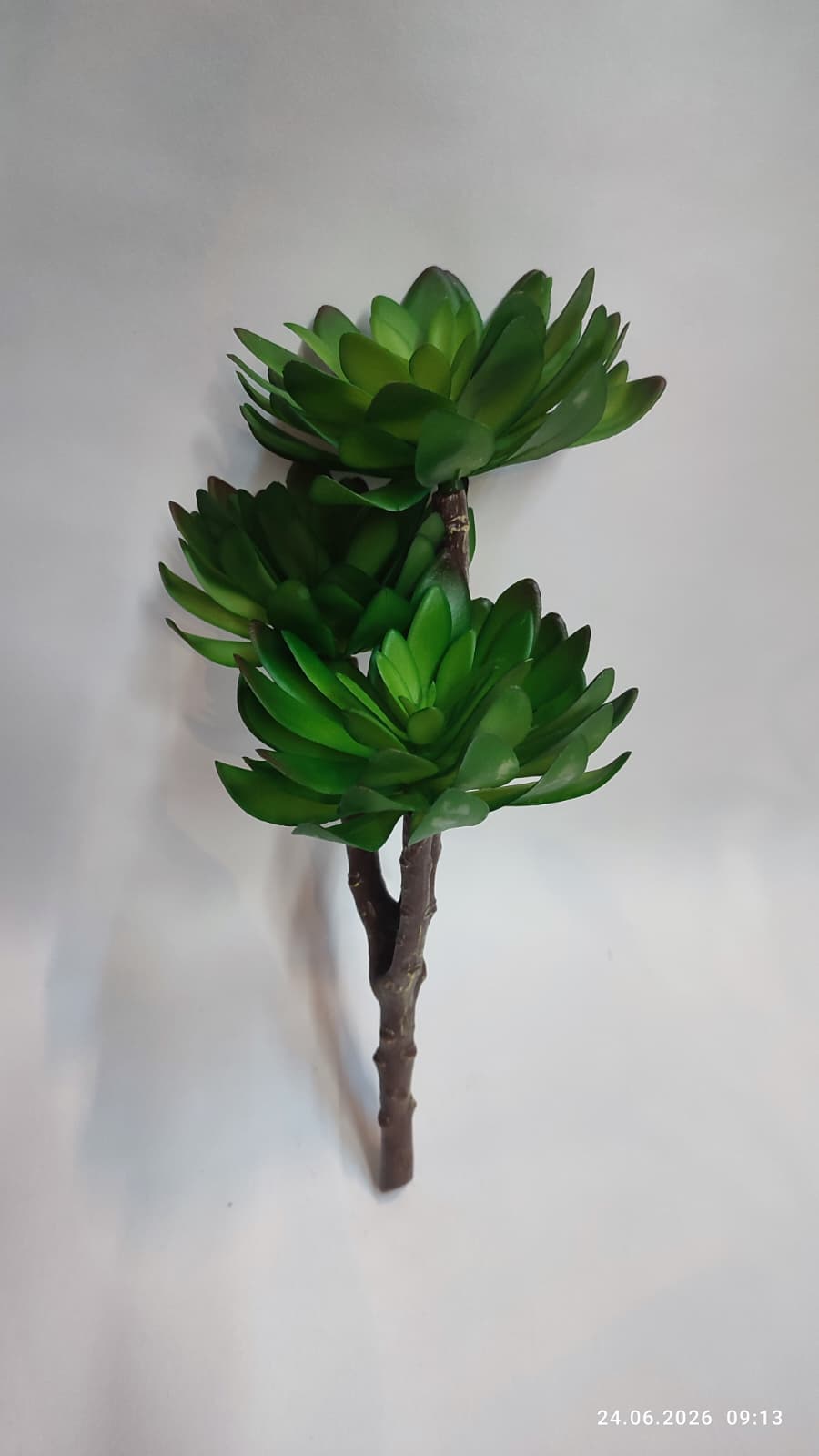 Suculente Decorative Artificiale