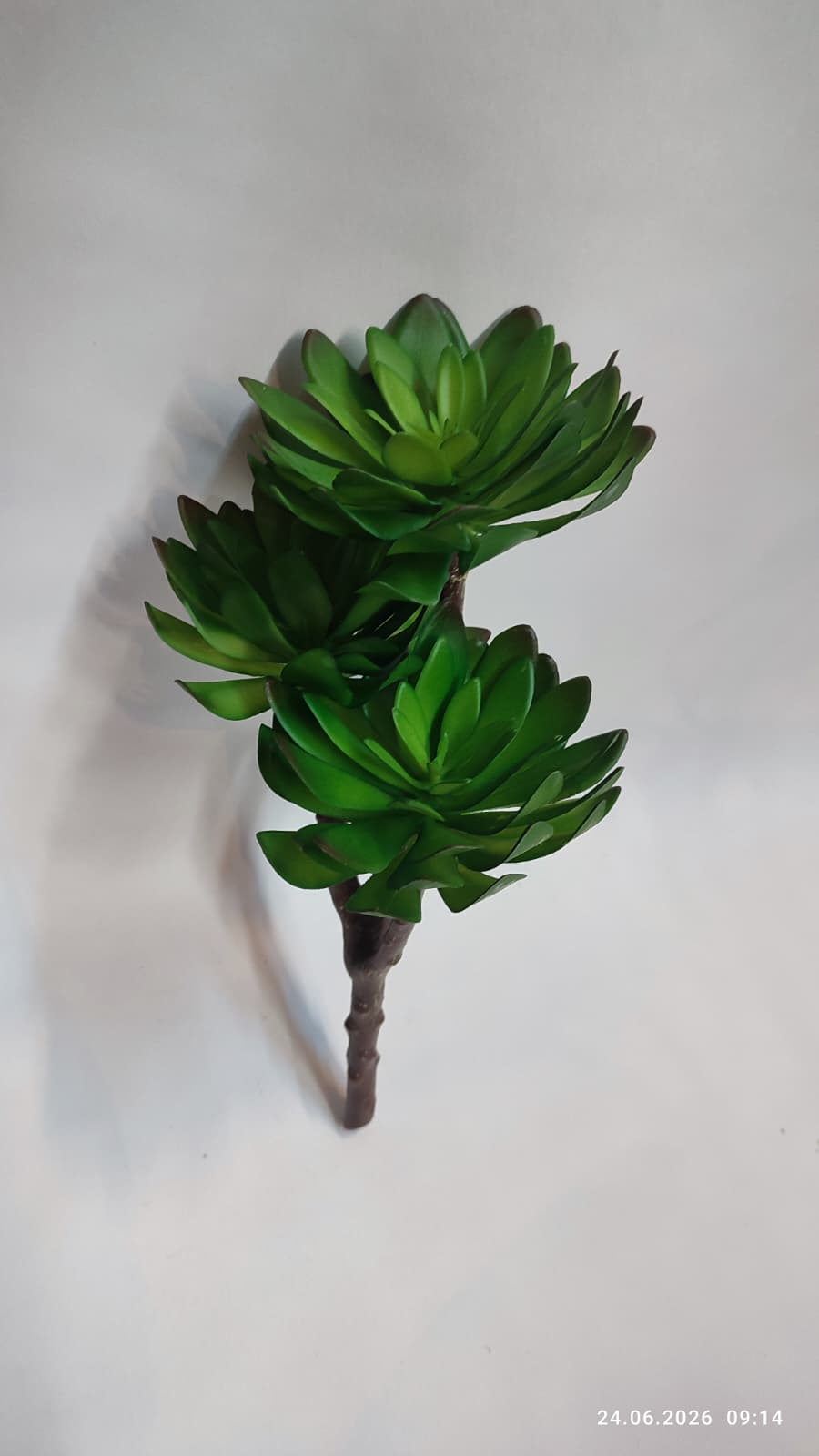 Suculente Decorative Artificiale
