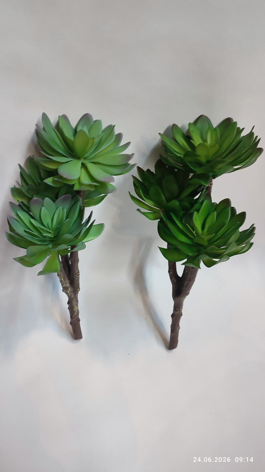 Suculente Decorative Artificiale