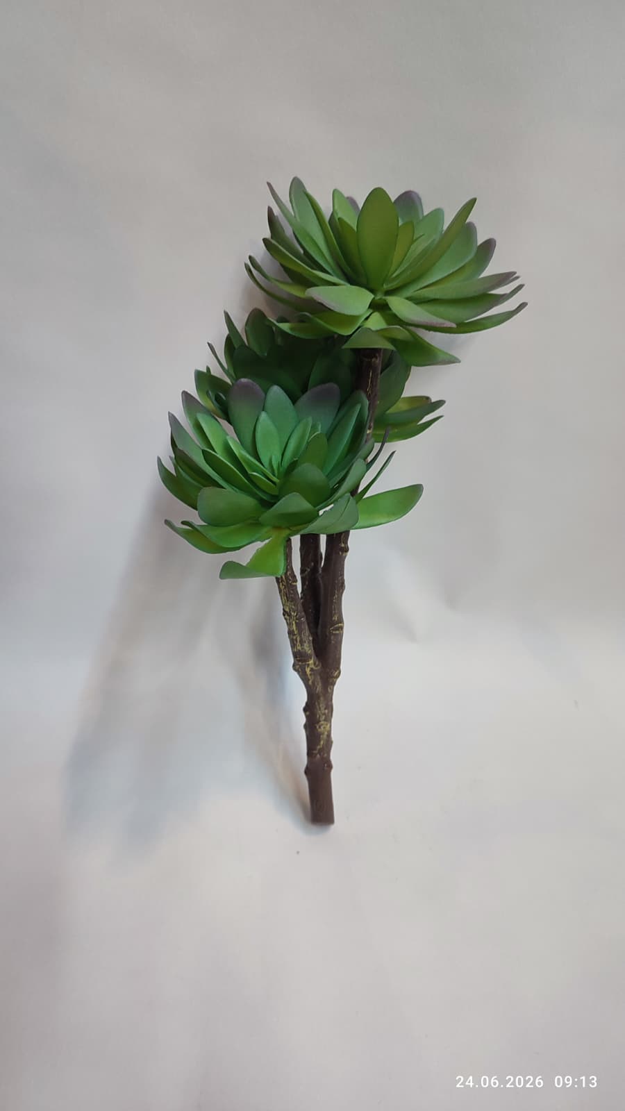 Suculente Decorative Artificiale