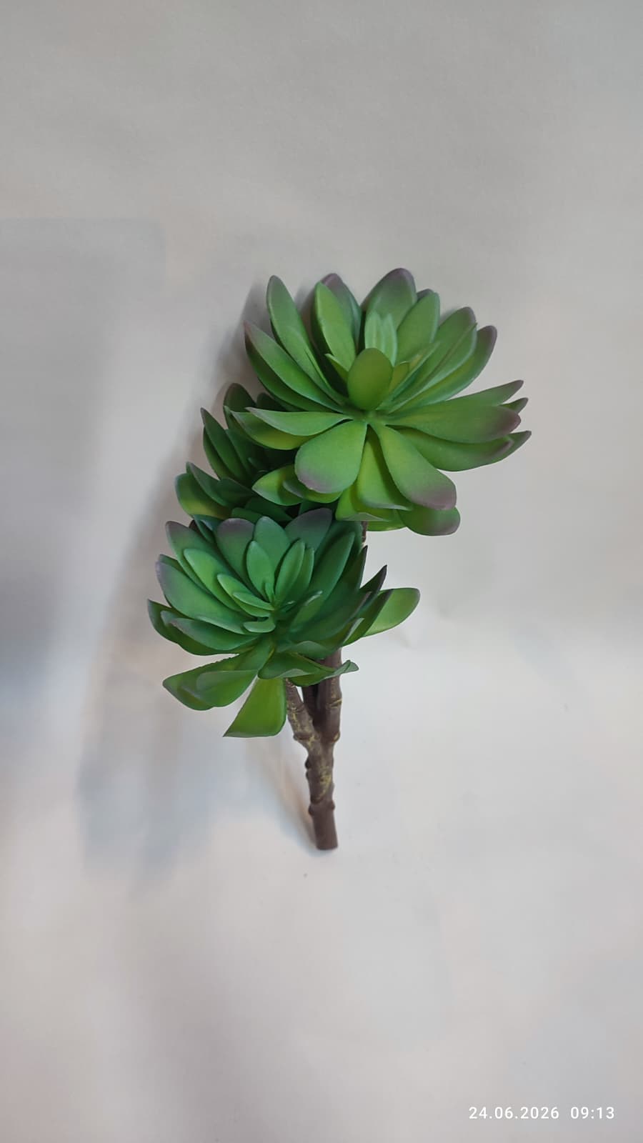 Suculente Decorative Artificiale