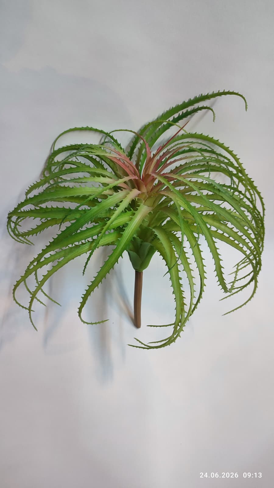 Suculente Decorative Artificiale