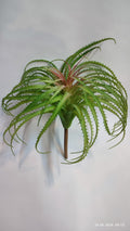 Suculente Decorative Artificiale