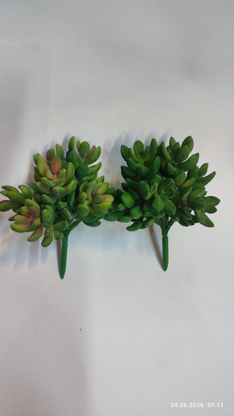 Suculente Decorative Artificiale